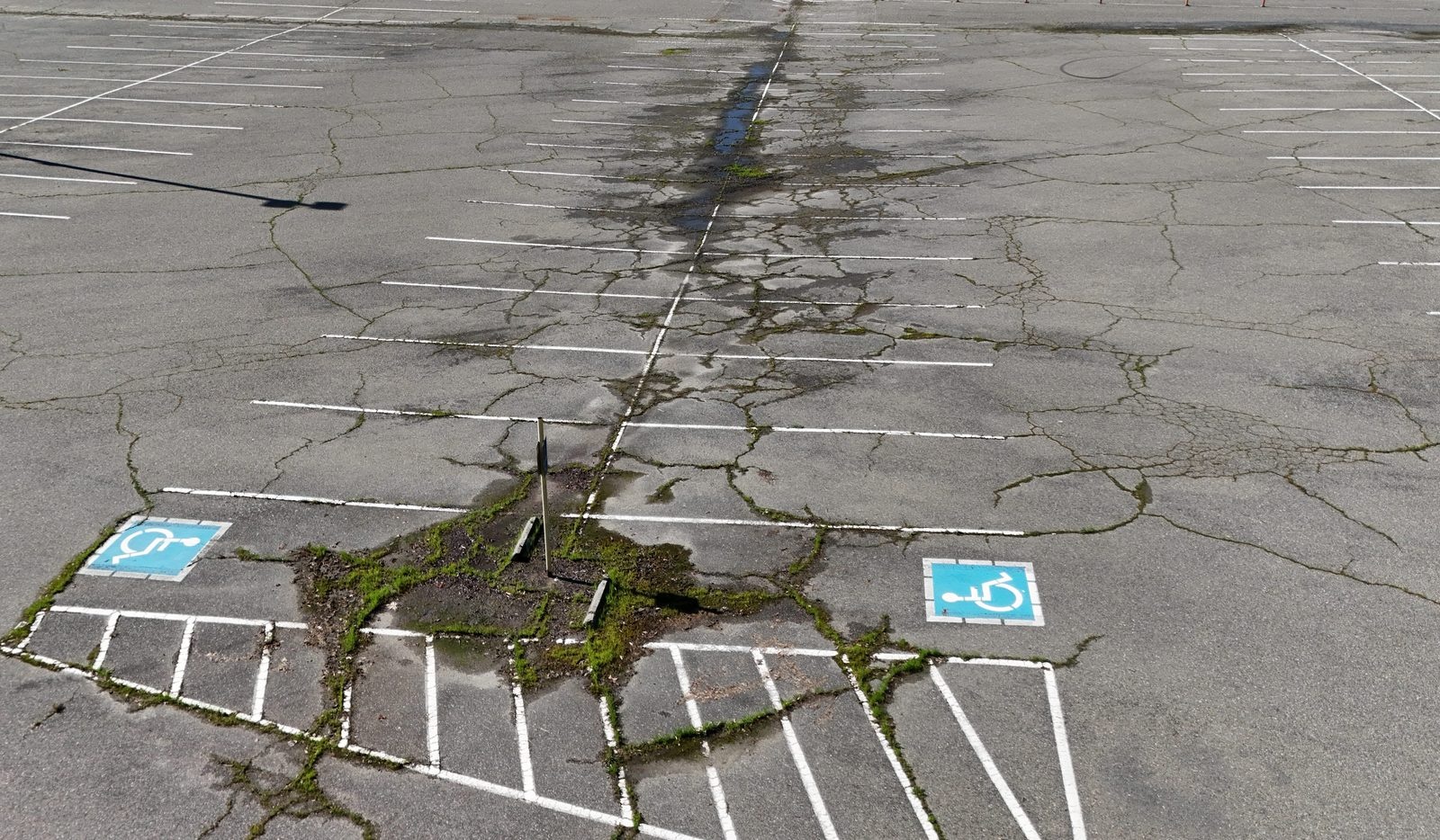 Extensive alligator cracking and vegetation growth through a commercial parking lot, with faded striping and ADA-accessible parking spaces visible